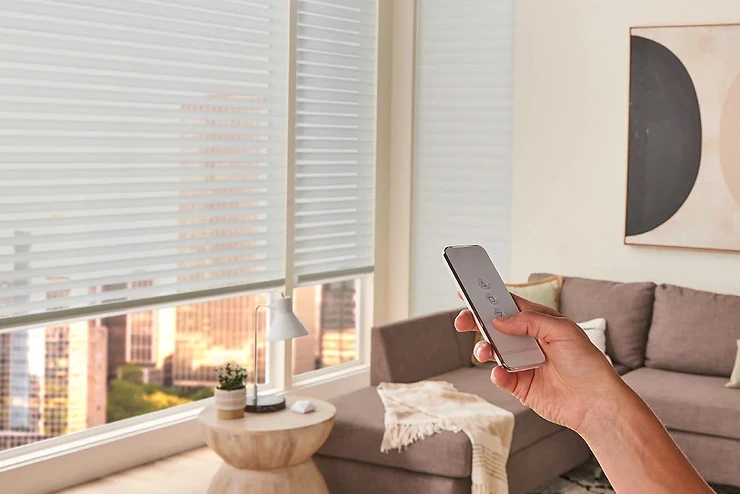 Motorized and Cordless Blinds