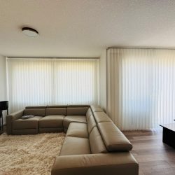 vertical sheers